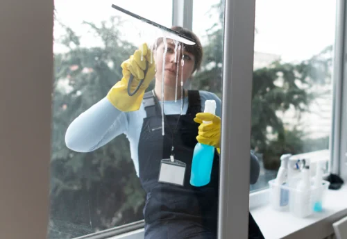 Nettoyage de vitres intérieures et extérieures à Trieux